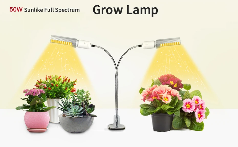 HTB1w0NqbELrK1Rjy1zbq6AenFXal