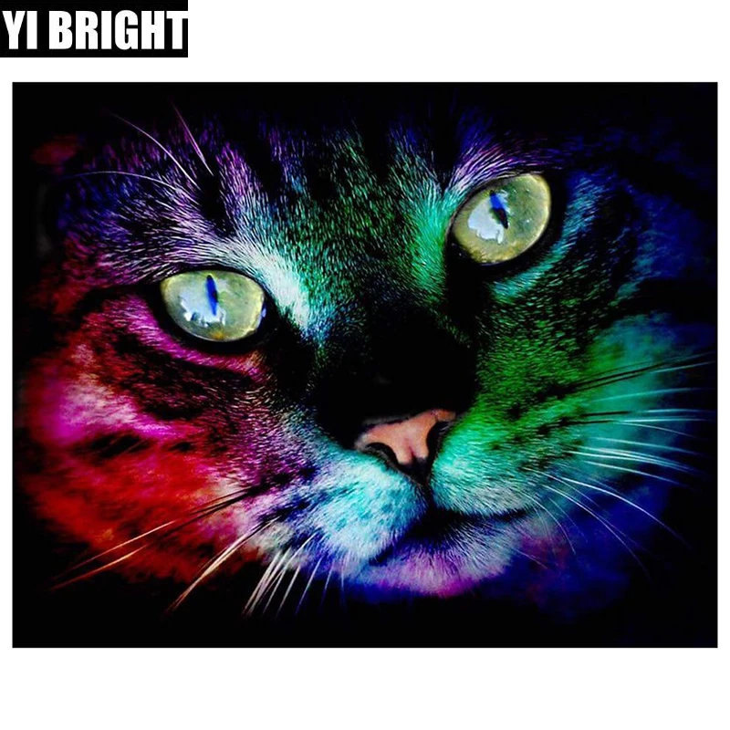 

CAT, 5D full Square/Round diamond embroidery kit,pattern,diamond painting,mosaic,bead picture of rhinestones home living XPZ