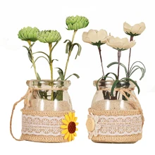 Мини Настольное декоративное стекло ваза креативная простая Садоводство Бытовая пеньковая веревка гидропонная бутылка вазы