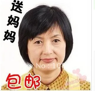 Old Wig Bobo Straight Hair Short Hair For Her Mother Middle Aged