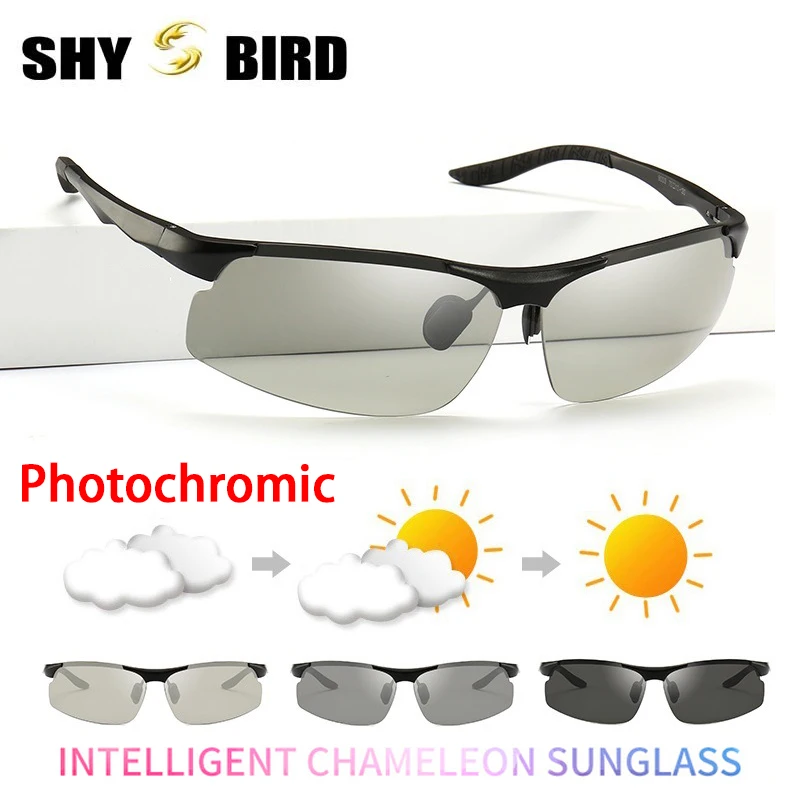snow shades sunglasses