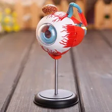 Мастер 4D Глаз Модель 32 шт собранная Анатомия человека модель новая 3D структура головоломки глаз
