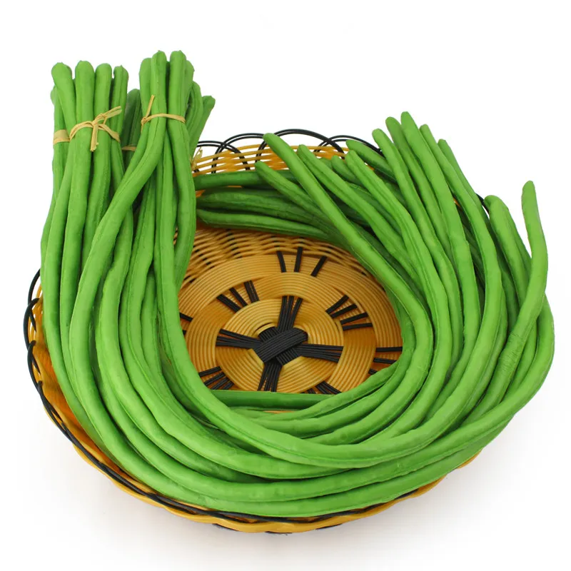 

Artificial Long Bean Painting Model Home Decoration Photography Show Props Vegetables Artificial long bean