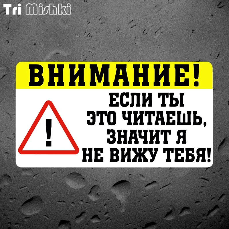 Tri Mishki WCS706 18*10 см Wariing в том случае если вы прочитали тогда я не вижу у вас забавная