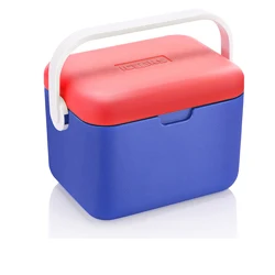 Luar Авто полиуретановая изоляционная коробка, медицинский холодильник для лекарств, холодная цепь, коробка для хранения, Portebla, ведро для льда, 5л, пищевая медицина, пластиковая крутая - Цвет: Blue Orange