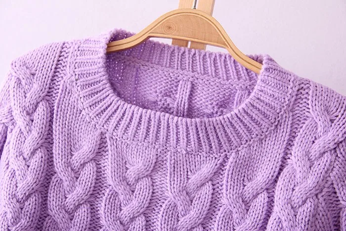 Retro Style Thick Line O-Neck Pullover Short Sweater Women Girl Spring 2016 (4)