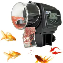 fish feeder for sale