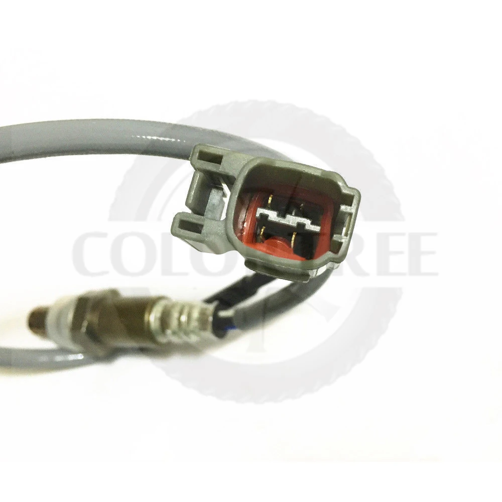 10152346701_366999543