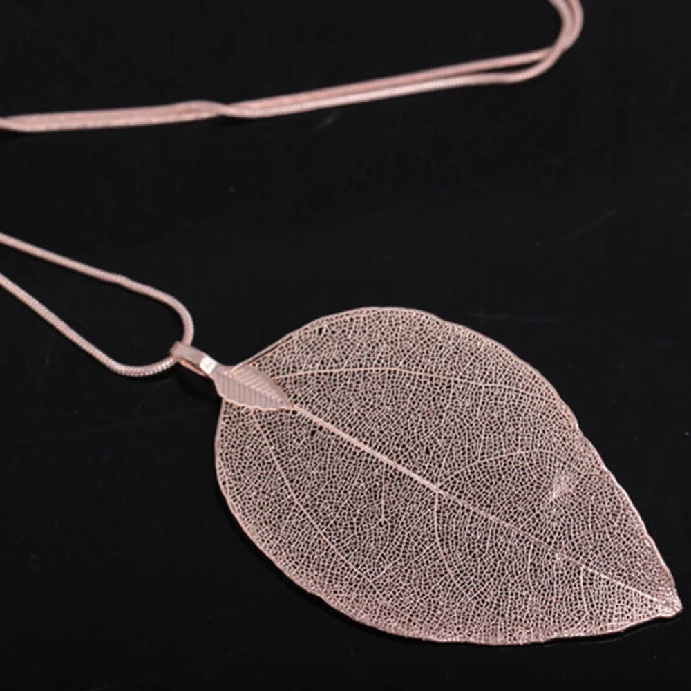 277008_no-logo_277008-1-07