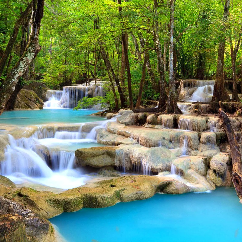 waterfall trees