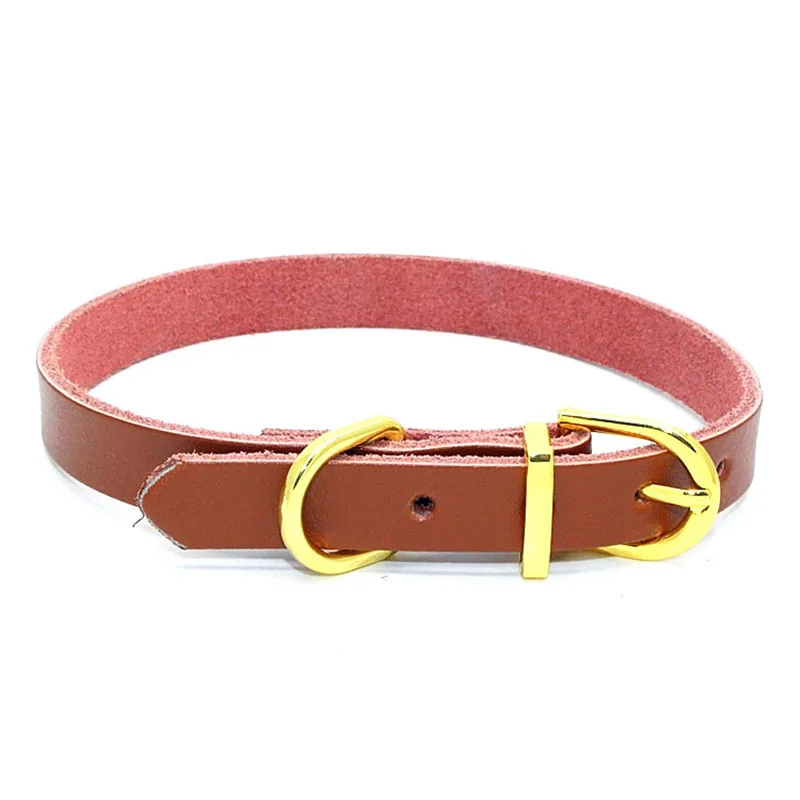 SYDZSW Real Leather Chihuahua Dog Collar Puppy Pet Collar leads for Small Dogs Cats Top Grade Golden Buckle Pet Dog Collar3