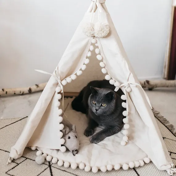 teepee tent  (4)