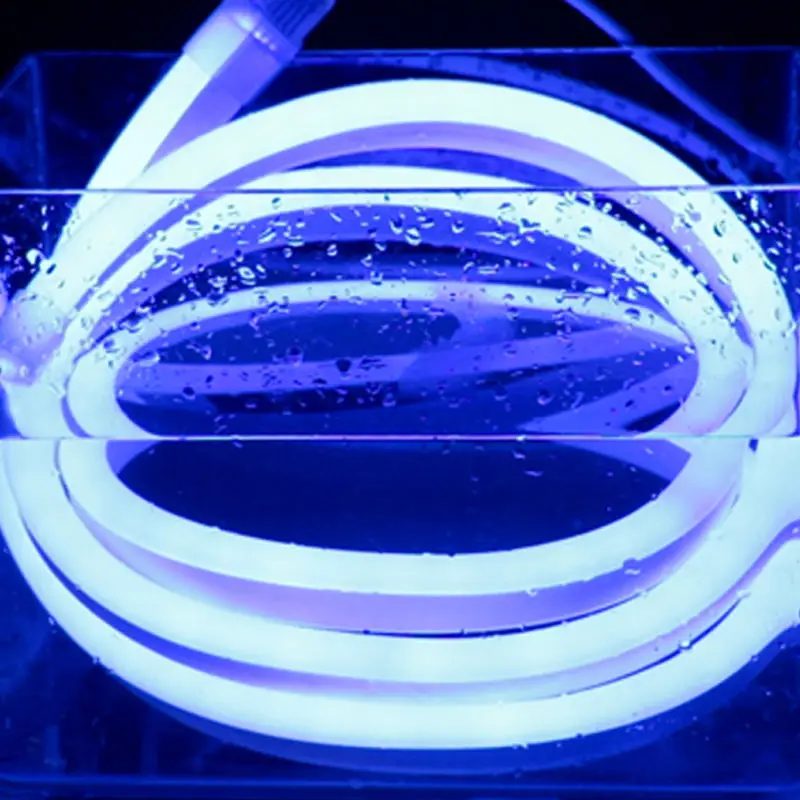 1-20m Flex LED bande flexible lumière SMD 2835  LED néon tube étanche+EU Plug 