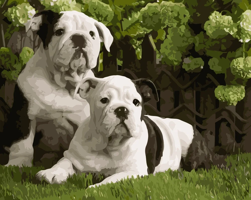 MaHuaf i629 cute British Bulldog DIY painting by Numbers dog animal