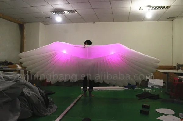 inflatable wing (5)