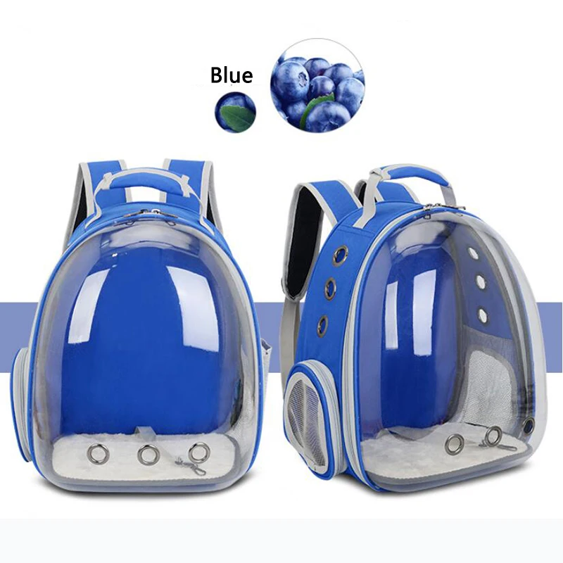 Blue-2