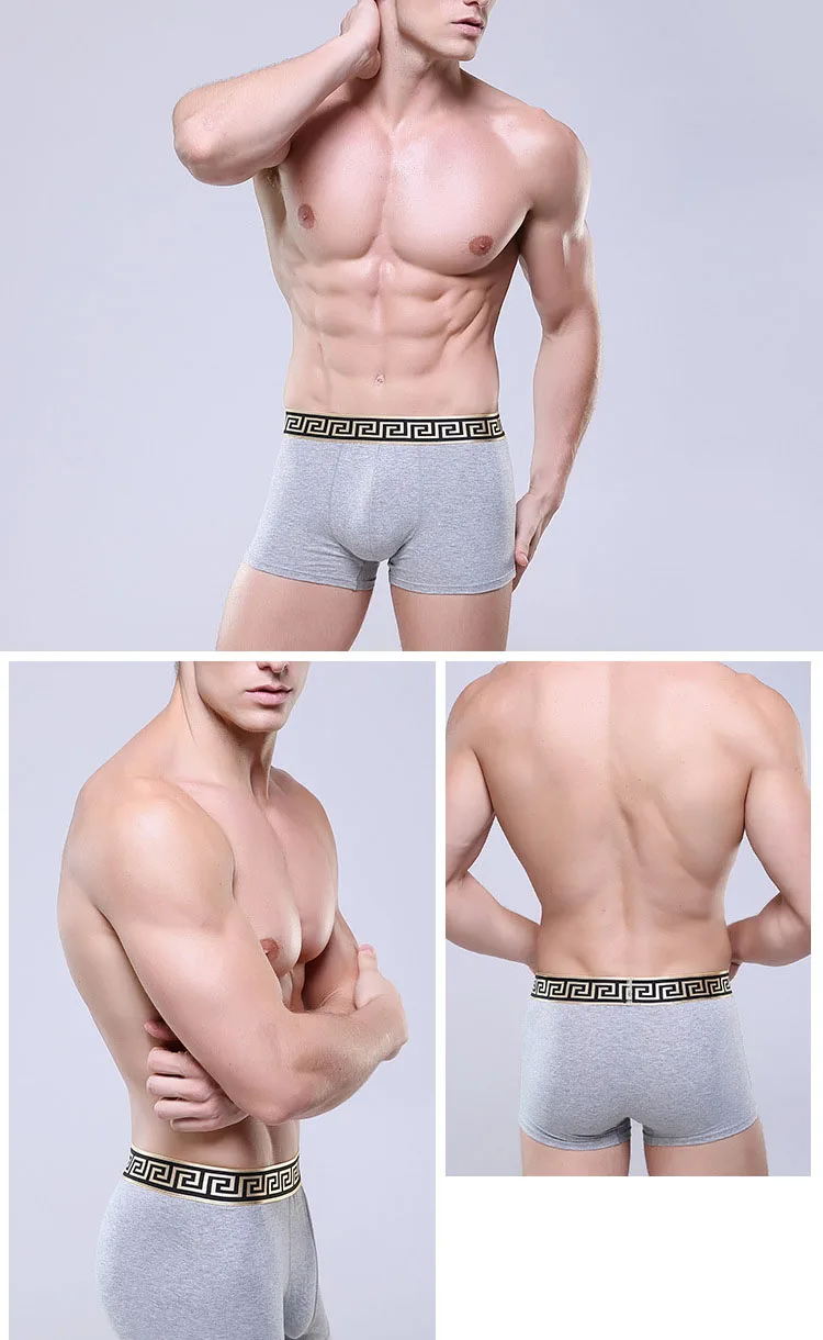 8545351740_1095324485