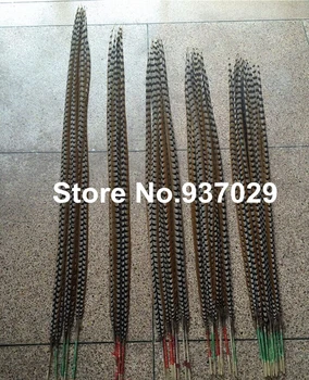

Free shipping 10pcs Natural reeves' pheasant tail feather 130-140cm super Long