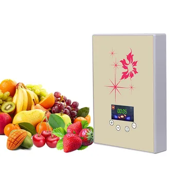 

Ozone generator Sterilizer purifier Purification Fruit Vegetables water food Preparation ozonator ionizator 300mg/h
