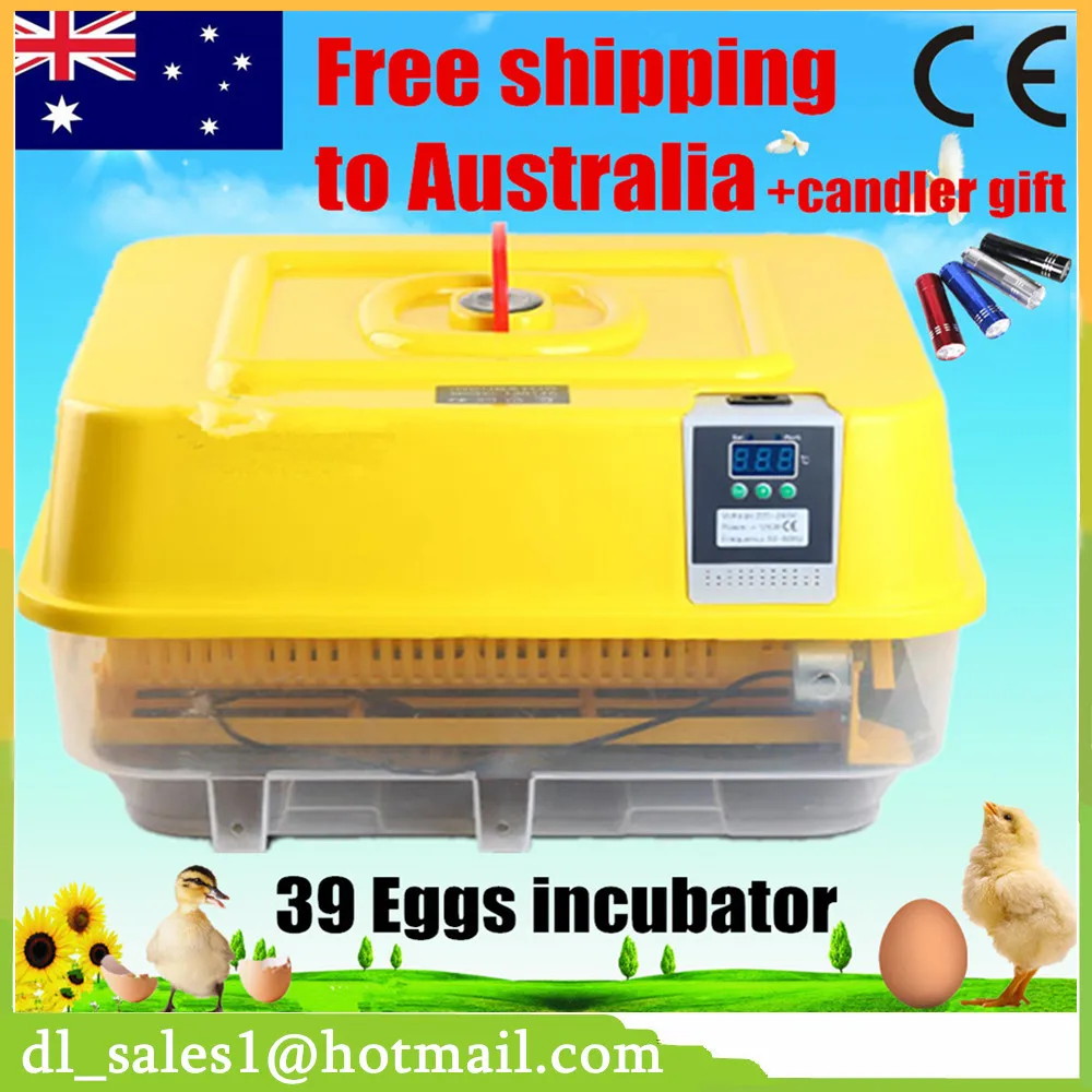 

1 Piece Home Use 39 Eggs Automatic Incubator Digital Chicken Duck Eggs Incubators Machine