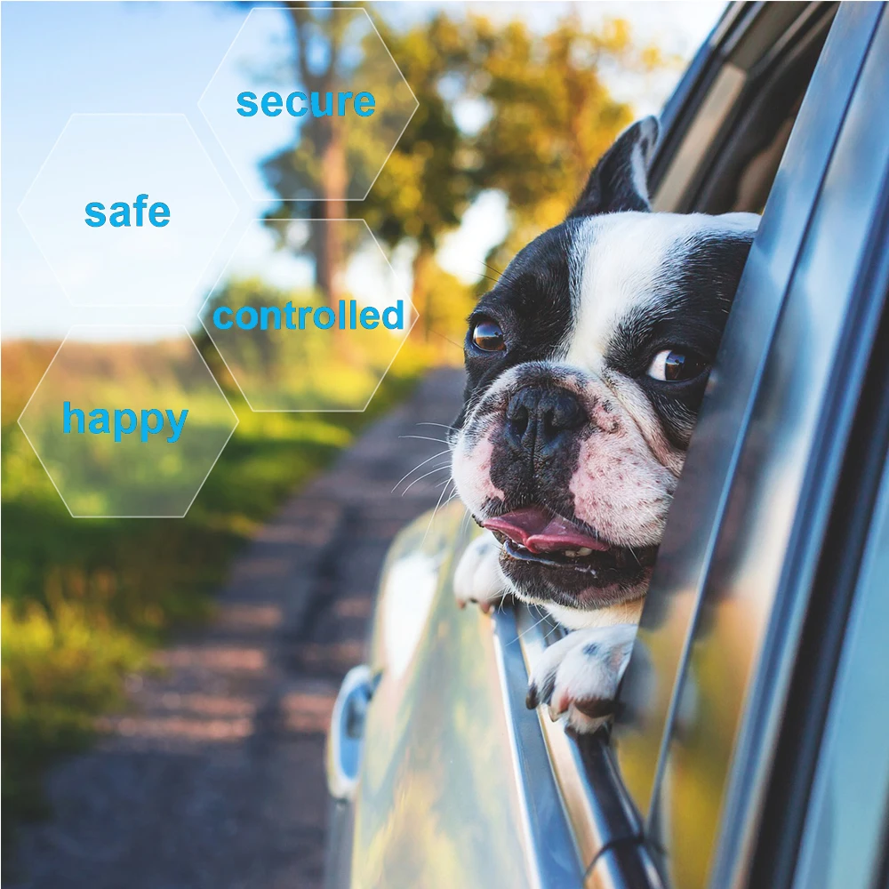 pet car vehicle seat belt11