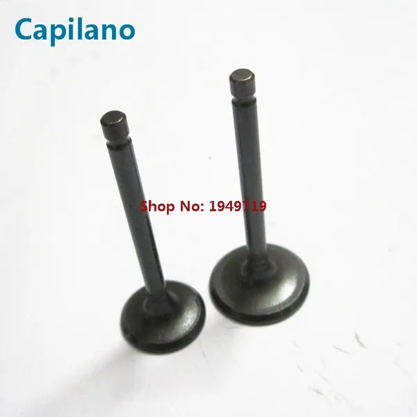 XV250 engine valve (2)