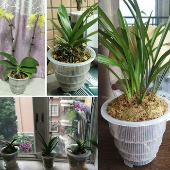 

Plastic Mesh Pot Orchid Flower Planter Container Home Gardening Decor _WK