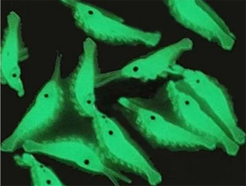 3CM Lifelike Luminous Shrimp Silicone Soft Bait Glow in the Dark Fishy Smell Shrimps Fishing Lure 10PCSLOT (6)