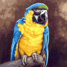 Безрамное изображение King kong starling по номерам современные стены книги искусству расписанную цифровой живопись маслом на холсте для украшения дома