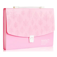 Новые и горячие 12 слоев A4 папка для файлов Viskey офисные поставки Портативный расширяющийся Файл Сумка для документов, розовый