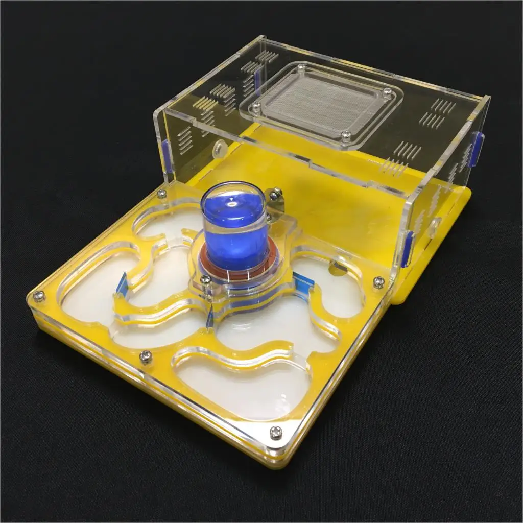 Муравьиное гнездо муравьиная ферма акриловое вилла домашние муравьи|ant farm acryl|ant