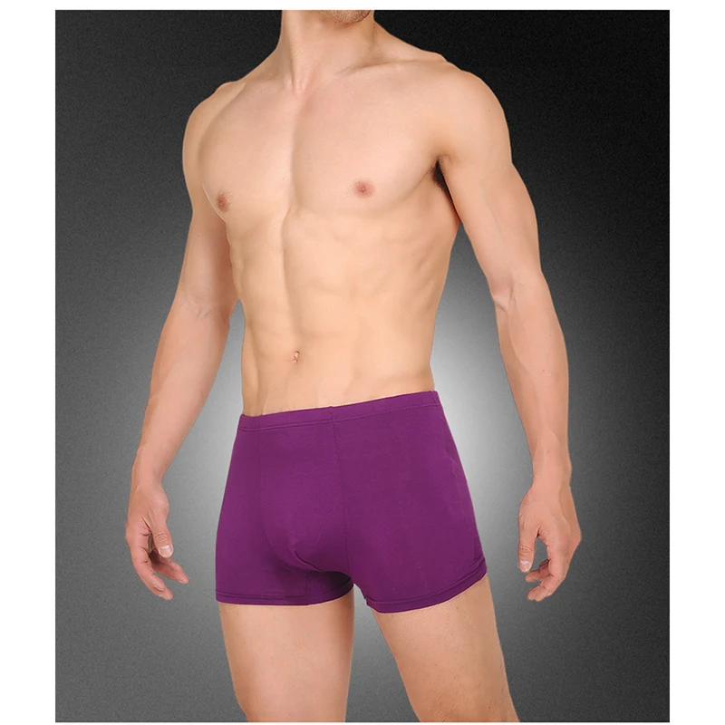 Solid Men Boxer Shorts Soft Men Underwear High Elastic Male Panties 6 Colors Brand Boxers Short Bamboo Fiber Men Clothing XL-5XL (3)
