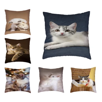 

Promotional New Animal Cushion Set Polyester Peach Skin Material Cute Kitten Orange White Simple Pillowcase Home Sofa Decoration