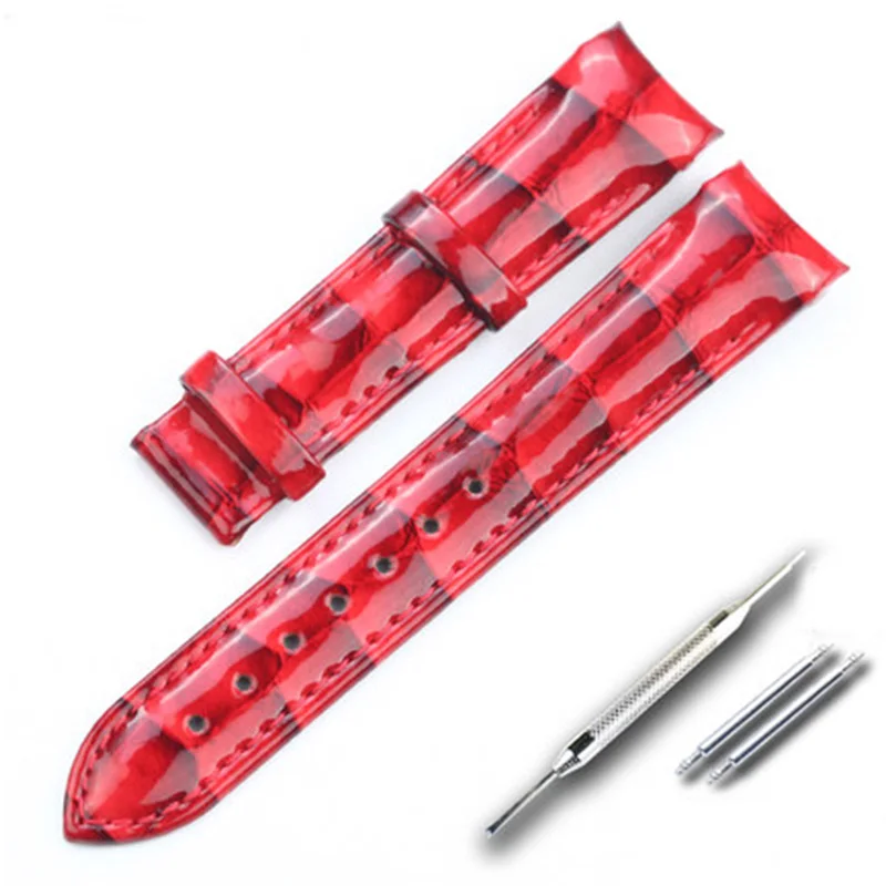 TB16o0qyNSYBuNjSspjL6R73VXa_430x430q90