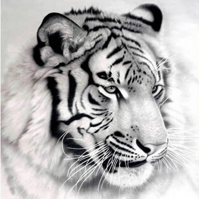 

5D DIY Diamond Painting Tiger Cross Stitch Full Drill Resin diamond embroidery Flores Wall Stickers Mosaic Diamond Home Decor