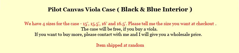 Pilot-case-title