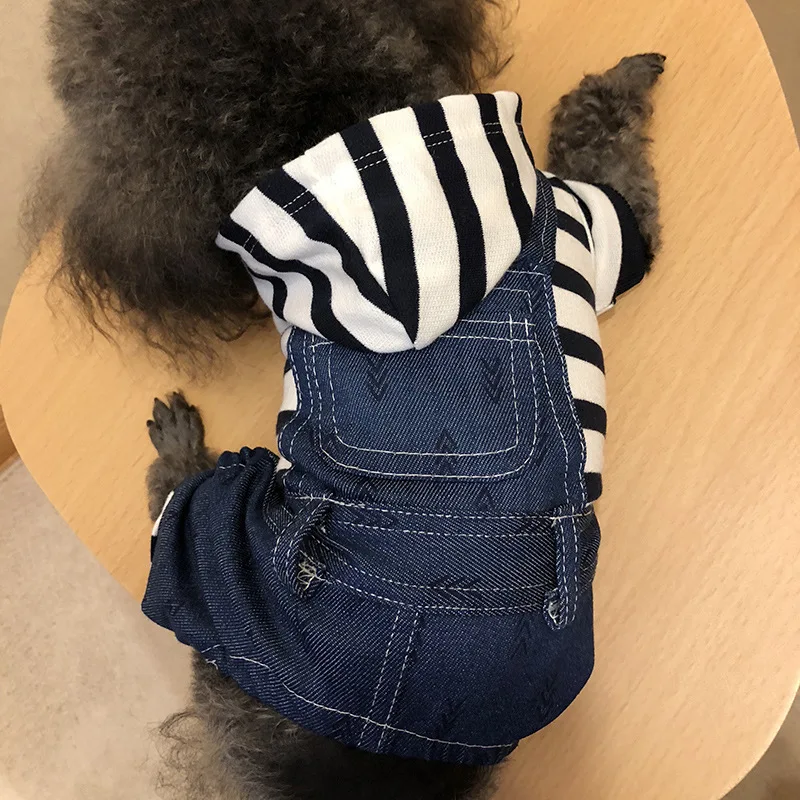 dog clothes dachshund