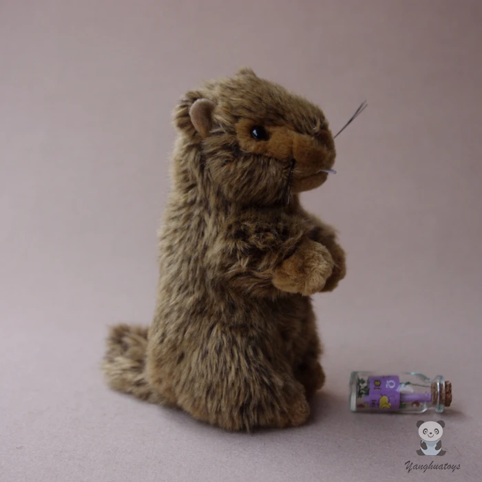 Плюшевые животные кукольные игрушки сурок детские подарки игрушка Моделирование Marmot Куклы Kawaii