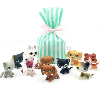 

10 Pcs/bag Real pet shop cute toys little short hair cat rare dachshund collie spaniel great dane old real figure with gift bag