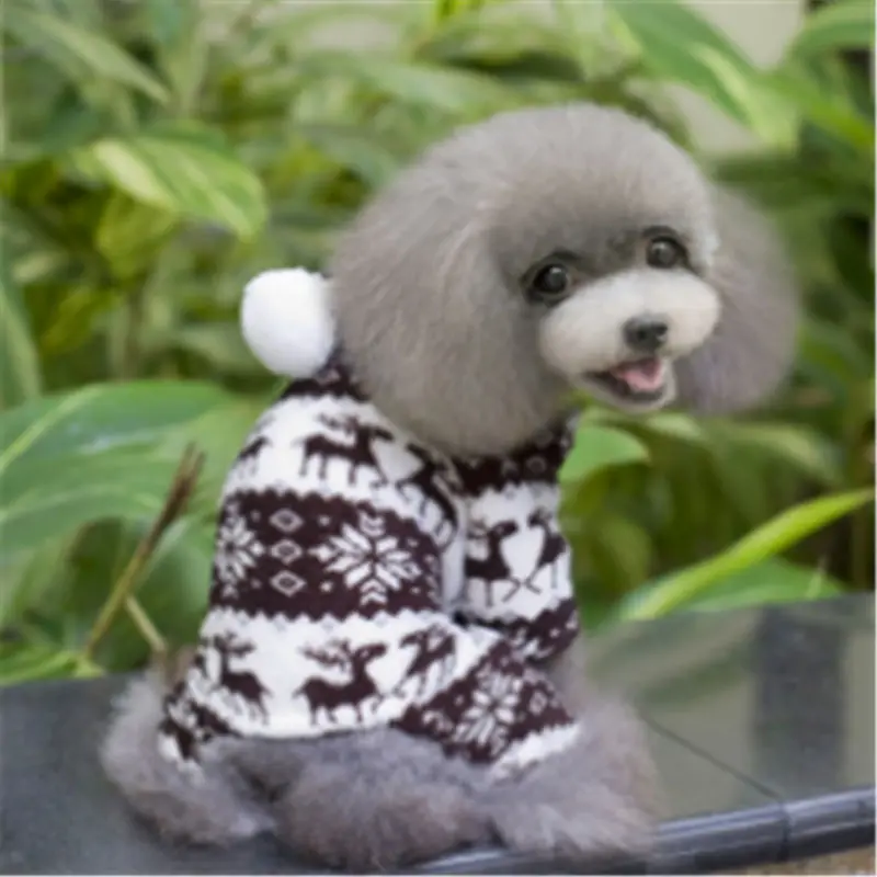 

Warm Pet Dog Clothes Dog Clothes For Small Dogs Clothing Chihuahua Puppy Outfit For Dog Cartoon Coat Yorkie Hoodie
