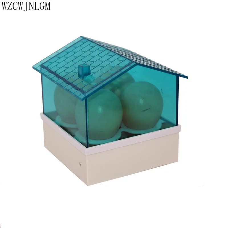 4 Egg Mini Electric Intelligent Automatic Egg Incubator Thermostat House Temperature Control For Chicken Duck Bird Quail Poultry 4 Egg Mini Electric Intelligent Automatic Egg Incubator Thermostat House Temperature Control For Chicken Duck Bird Quail Poultry