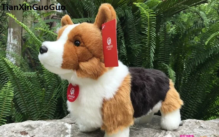 

new arrival lovely coloured corgi standing dog plush toy about 30cm soft doll birthday gift s0270
