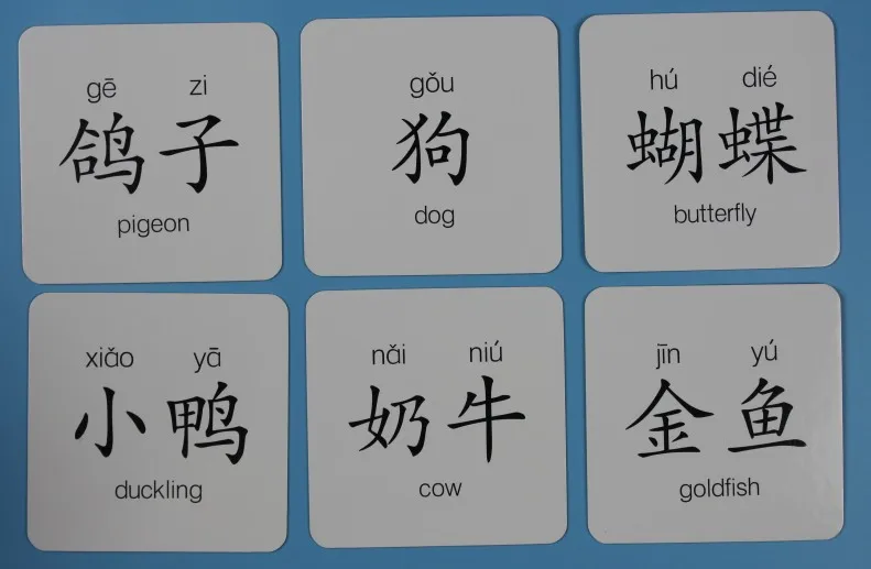 Cartões de Aprendizagem Livro com Pinyin Cartões de Presente para Crianças Educação Precoce Fruta Vegetal Animal Chinês Inglês Imagens 16 Weddings & Events