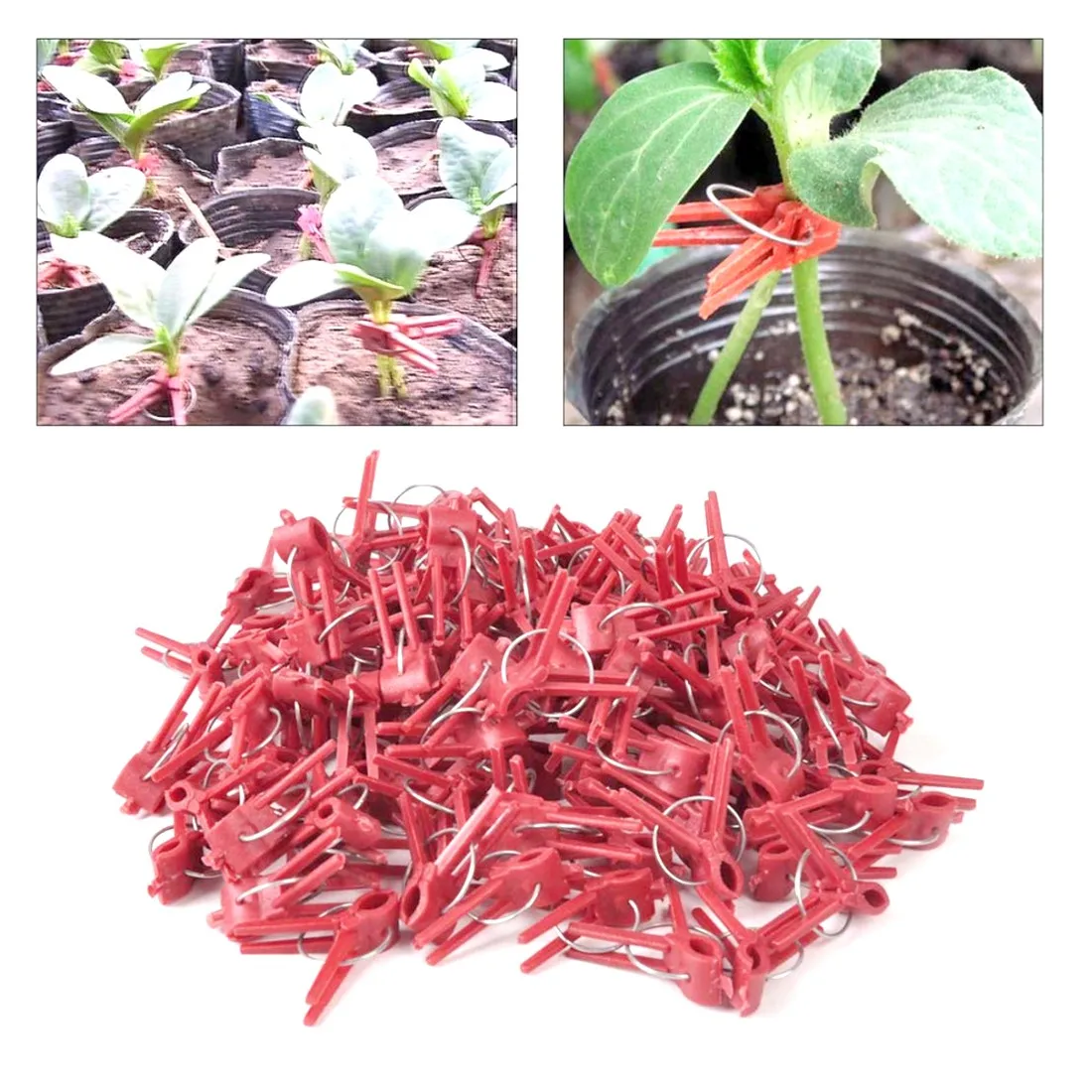

New 100pcs Durable Plastic Grafting Clips Garden Vegetable Flower Tomato Vine Bushes Plants