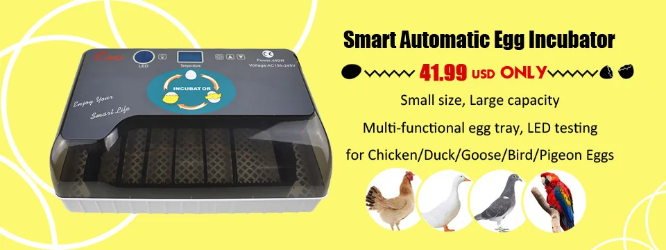 12incubator960