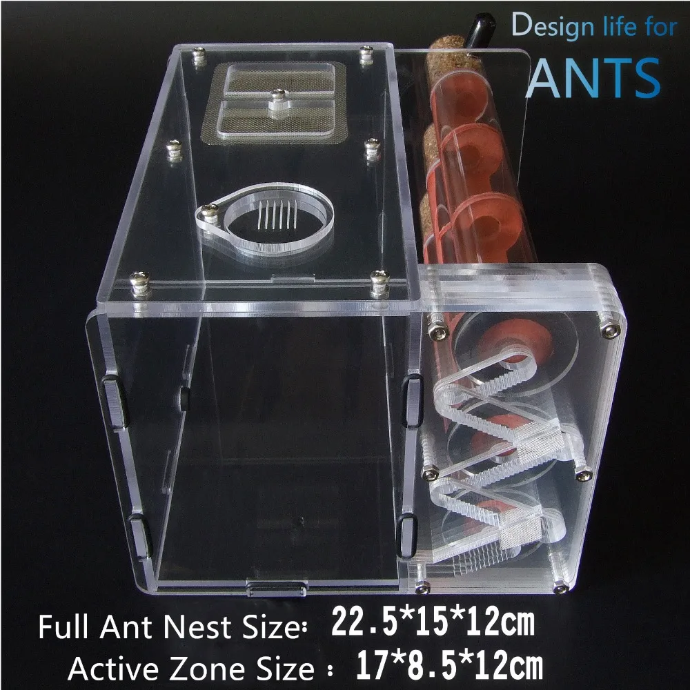 3pcs-bamboo-ant-nest (15)