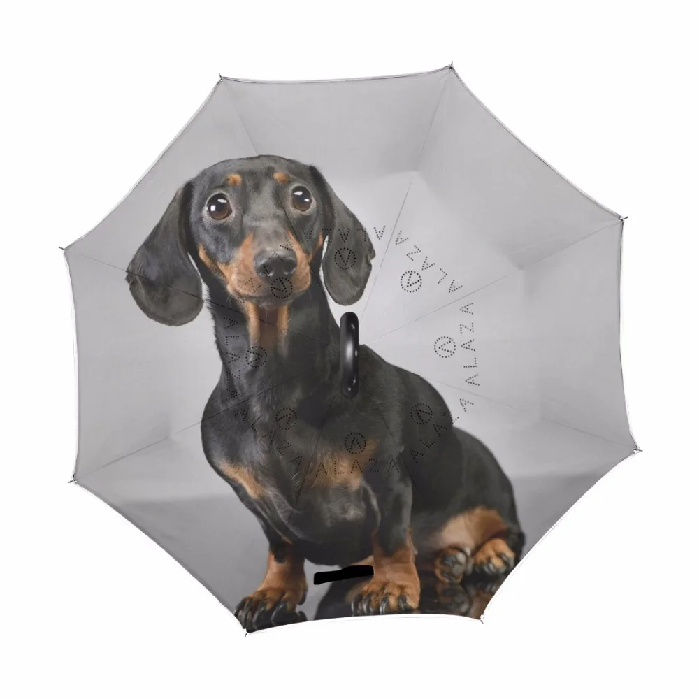 

Adorable Short Haired Dachshund Dog Reverse Umbrella Windproof Sun Rain Umbrella Double Layer Umbrella Parasol for Men Women
