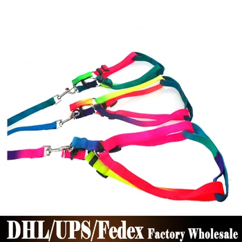 

50Pcs/Lot Luck Pet Products Rainbow Colorful Nylon Dog Harness Leash