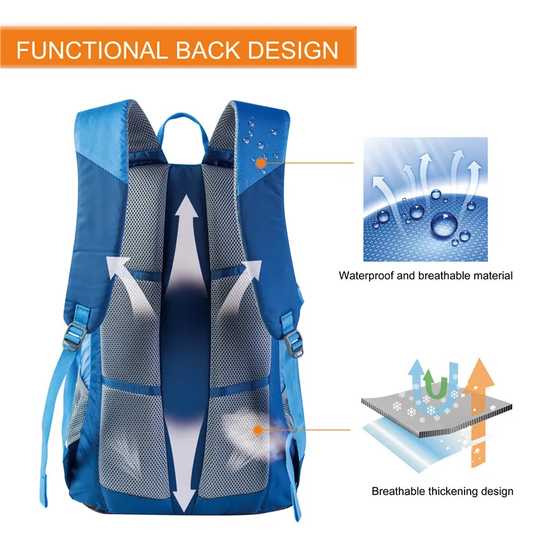 3 (6)