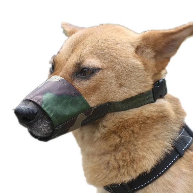cloth muzzle